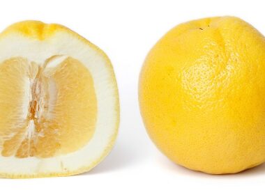 Grapefruit_and_cross_section_edit