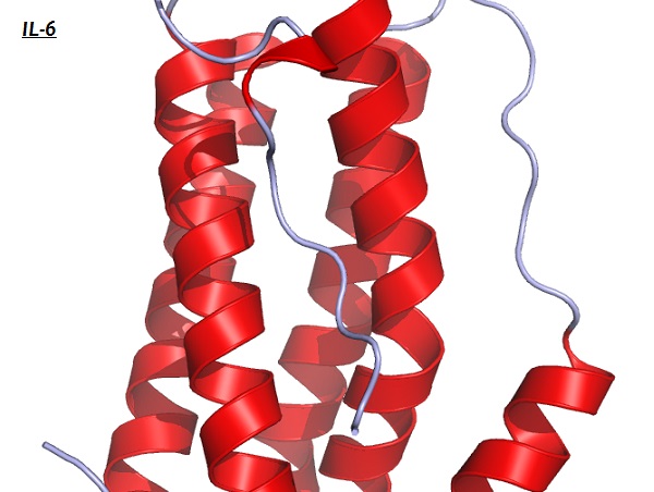 IL6_Crystal_Structure