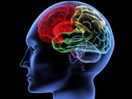 Πώς ο διαβήτης τύπου 1 επηρεάζει τον εγκέφαλο - Glykouli.Gr