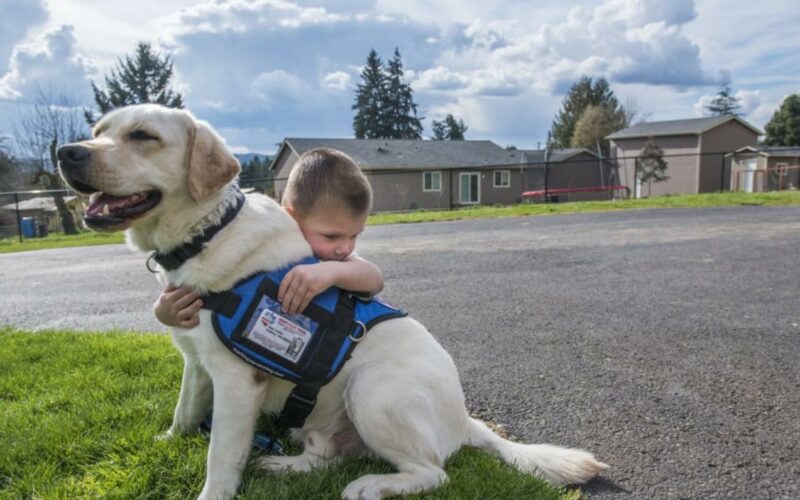 Ένας σκύλος - βοηθός μπορεί να βοηθήσει άτομα με διαβήτη να αισθάνονται μεγαλύτερη σιγουριά στην καθημερινότητά τους