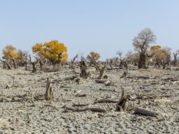 Τα Ηνωμένα Έθνη προειδοποιούν: η λειψυδρία μπορεί να είναι η επόμενη πανδημία που θα πλήξει τον πλανήτη