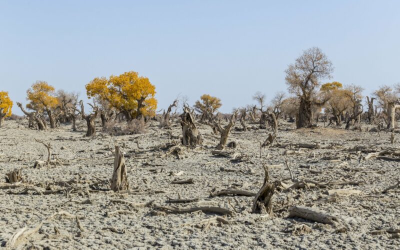 Τα Ηνωμένα Έθνη προειδοποιούν: η λειψυδρία μπορεί να είναι η επόμενη πανδημία που θα πλήξει τον πλανήτη