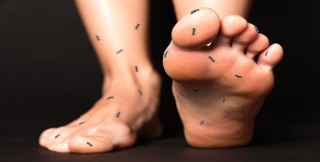 Τι συμβαίνει όταν αισθανόμαστε «μυρμήγκιασμα» στα χέρια και τα πόδια μας; -  Γλυκούλι