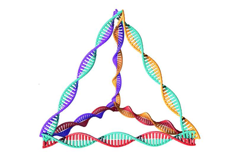 Πυραμιδοειδή μόρια DNA αναστρέφουν τον νεοεμφανιζόμενο διαβήτη τύπου 1 σε ποντίκια